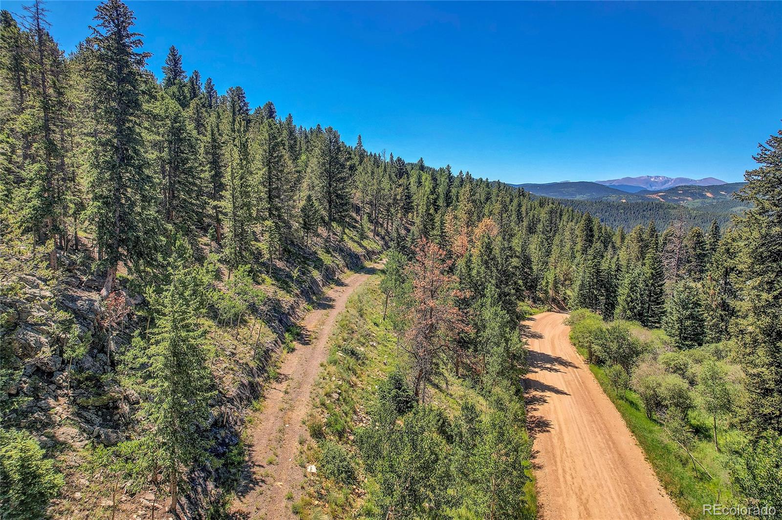 5 Hughesville Road Black Hawk, CO 80422 - Photo 6 of 17 a view of a city with lush green forest