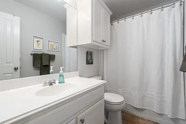 a bathroom with a sink a toilet and shower curtain