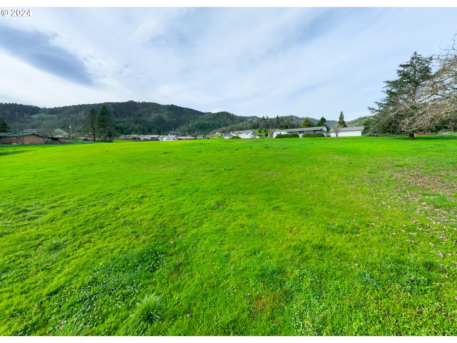 150 Spring Brook Road Myrtle Creek, OR 97457 - Photo 42 of 42 a view of yard with grass and trees