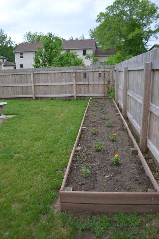 8185 Birch Road Saginaw, MI 48609 - Photo 6 of 36 Gallery Image 6