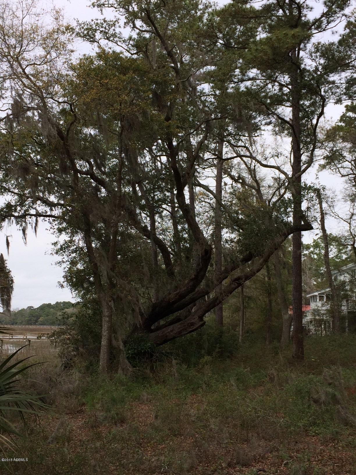 42 Meridian Road Beaufort, SC 29907 - Photo 3 of 5 Live Oak
