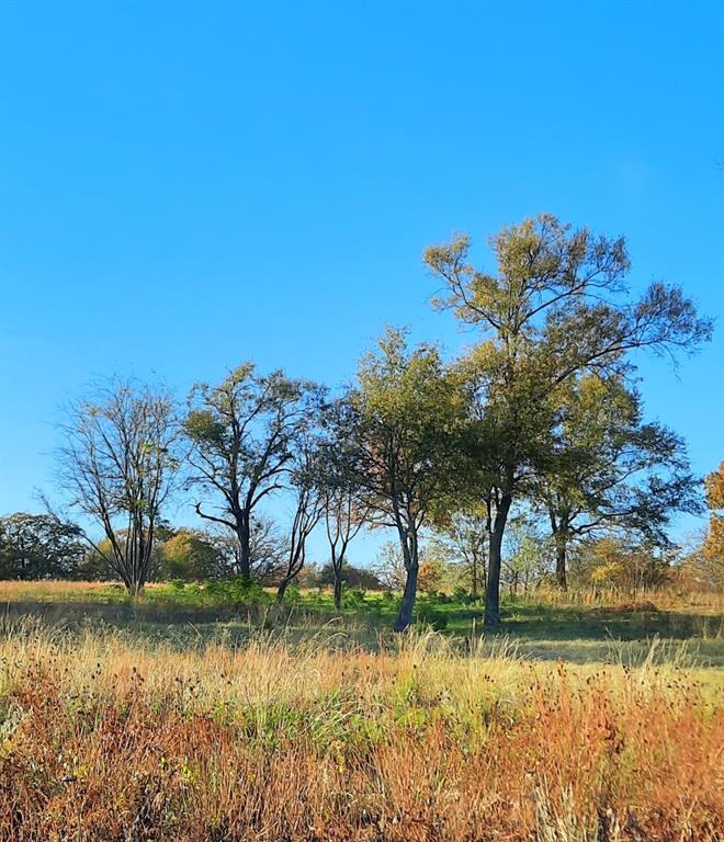 Lot 1 County Road 3328 Emory, TX 75440 - Photo 15 of 17 a view of lake with a house in background