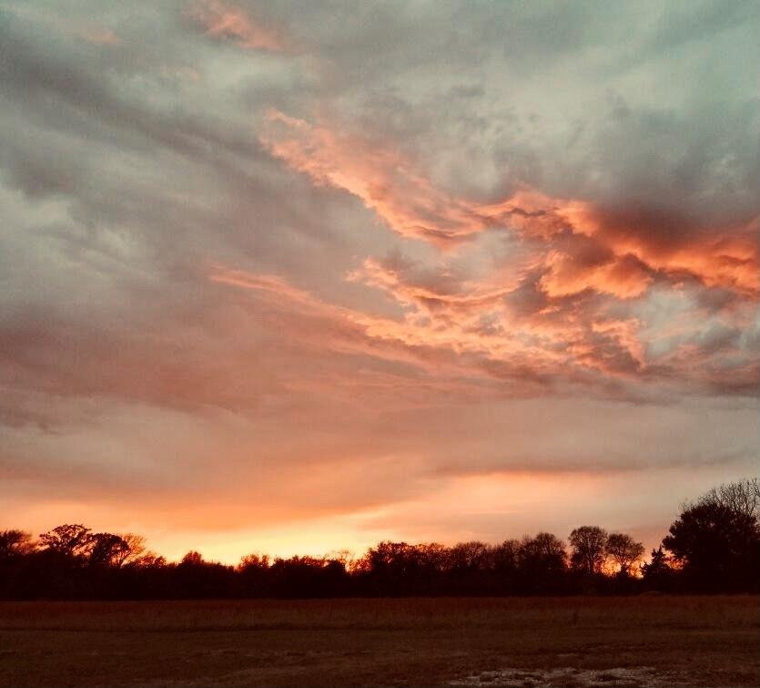 Lot 1 County Road 3328 Emory, TX 75440 - Photo 10 of 17