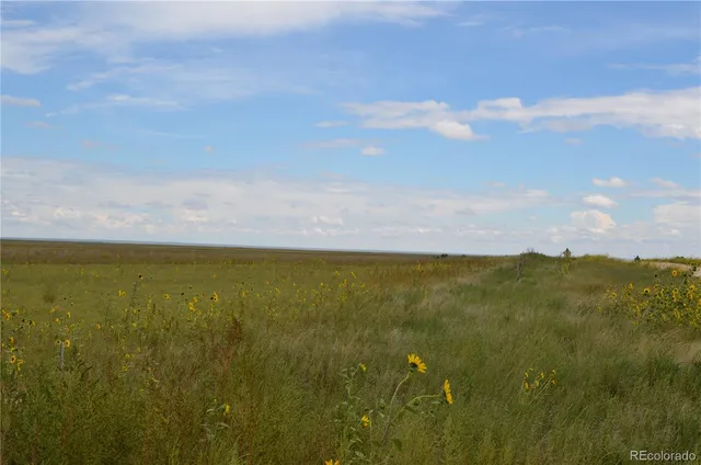 $65,000 | 1 County Road West, Rush, CO 80833