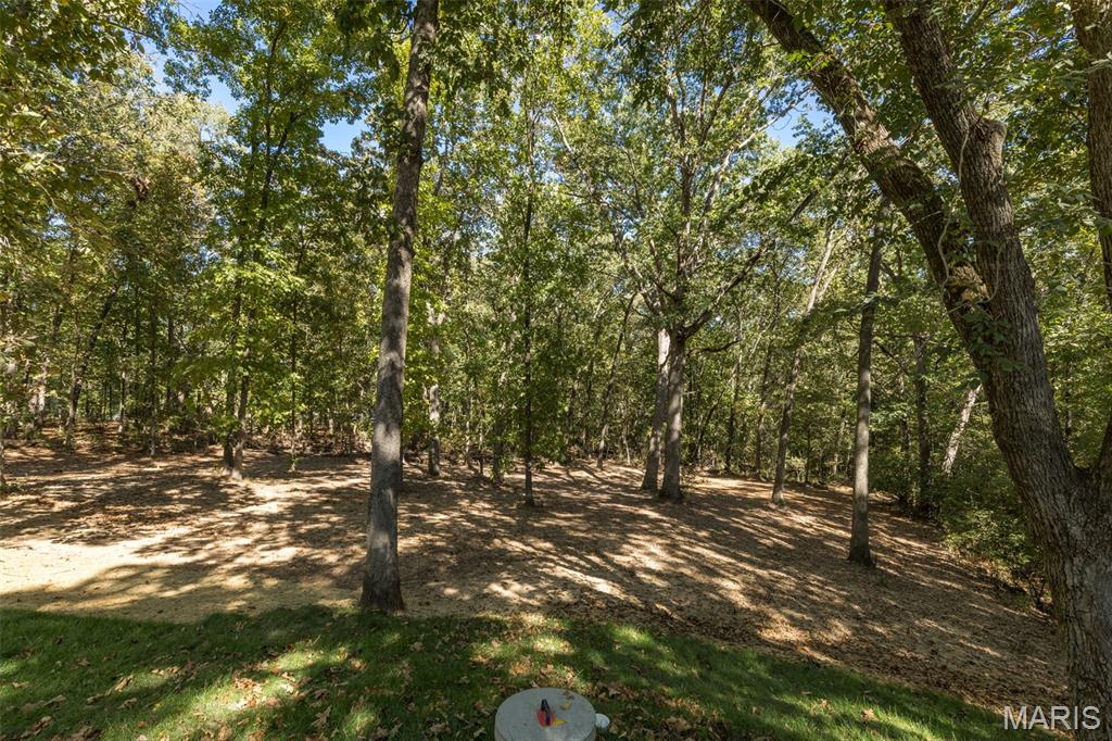 2477 Buck Creek Road Festus, MO 63028 - Photo 6 of 47 Gallery Image 6