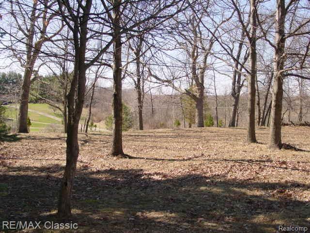 11429 Gage Road Holly, MI 48442 - Photo 17 of 18 side yard