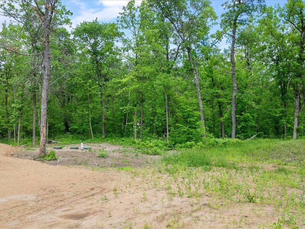30298 County 33 Akeley, MN 56433 - Photo 32 of 39