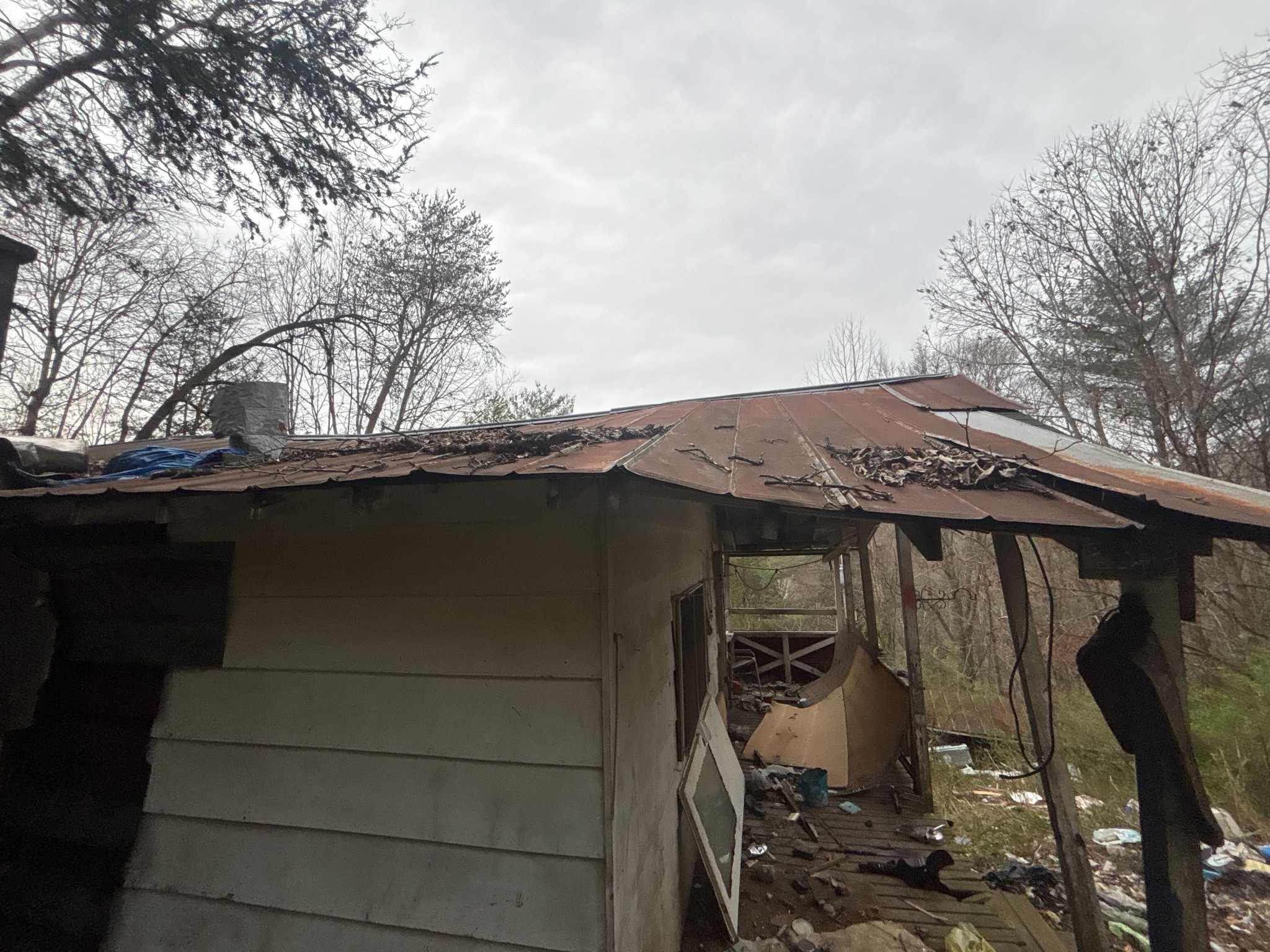 180 Sportsman Loop Speedwell, TN 37870 - Photo 12 of 18