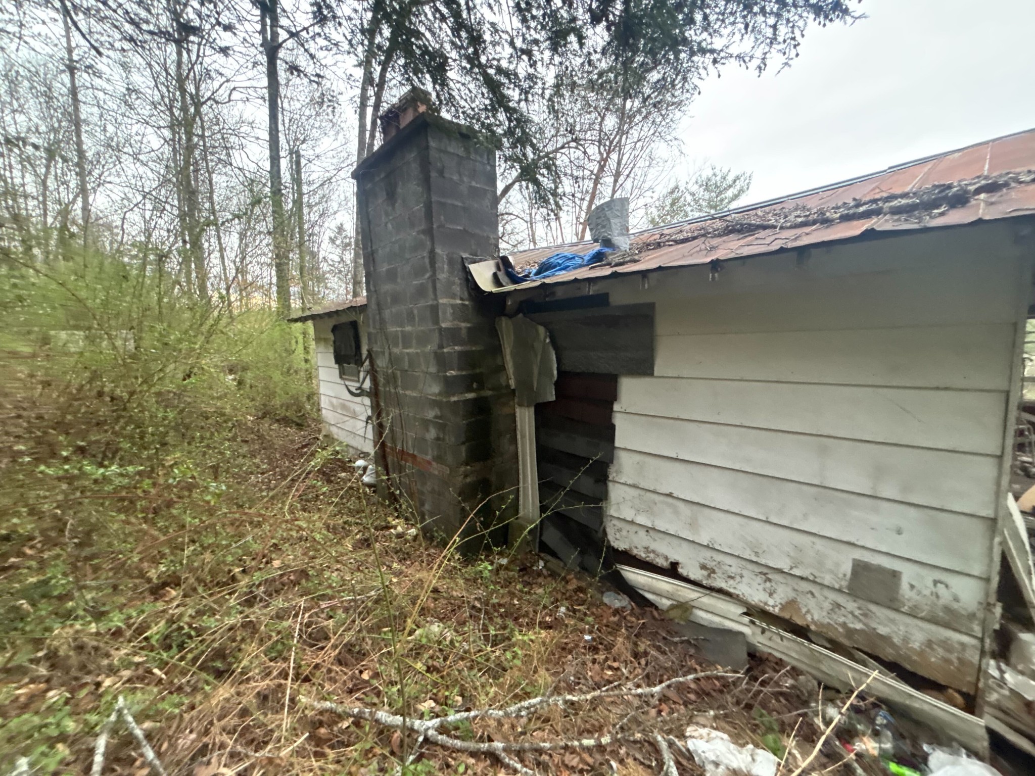 180 Sportsman Loop Speedwell, TN 37870 - Photo 13 of 18