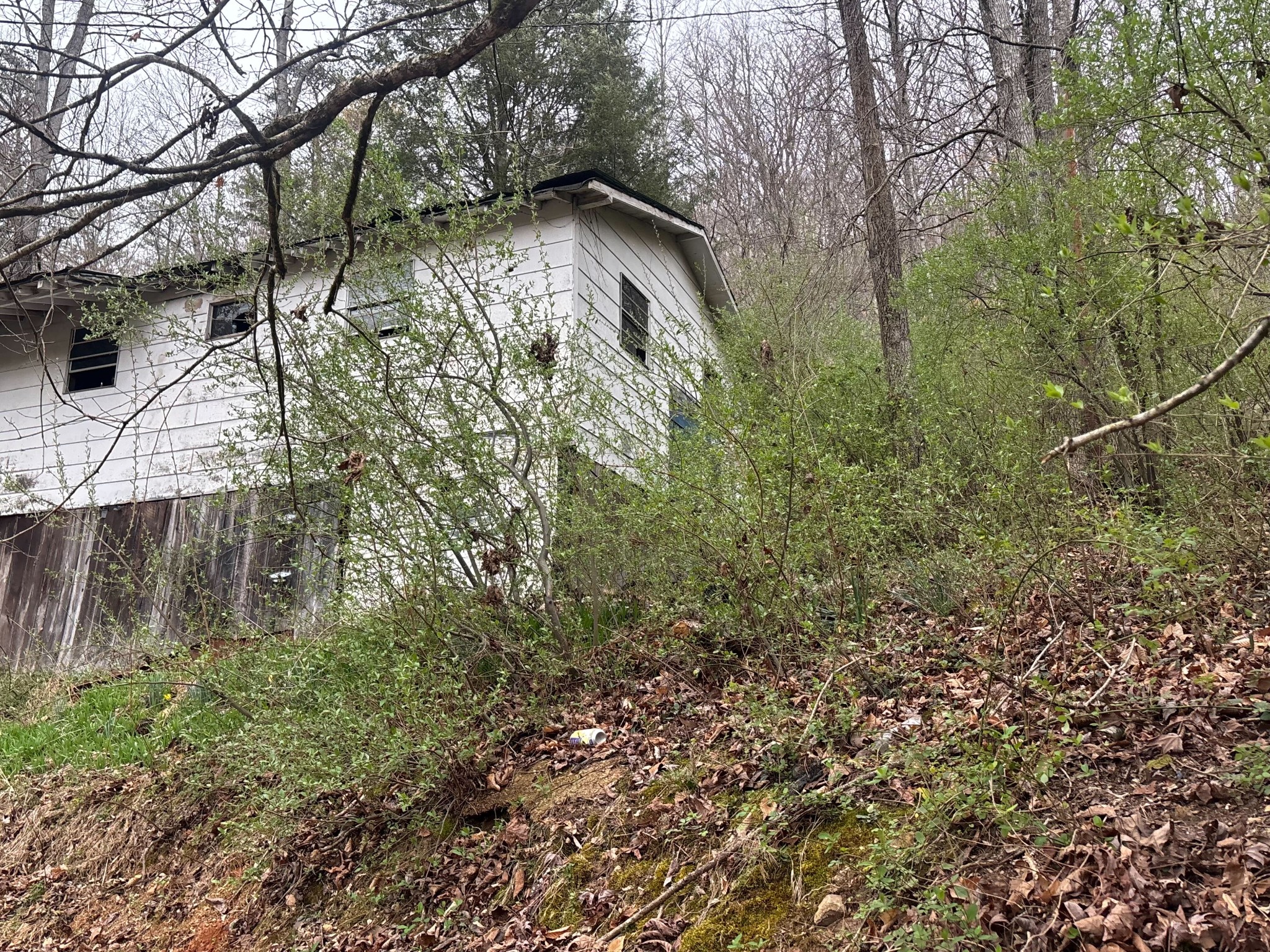 180 Sportsman Loop Speedwell, TN 37870 - Photo 16 of 18