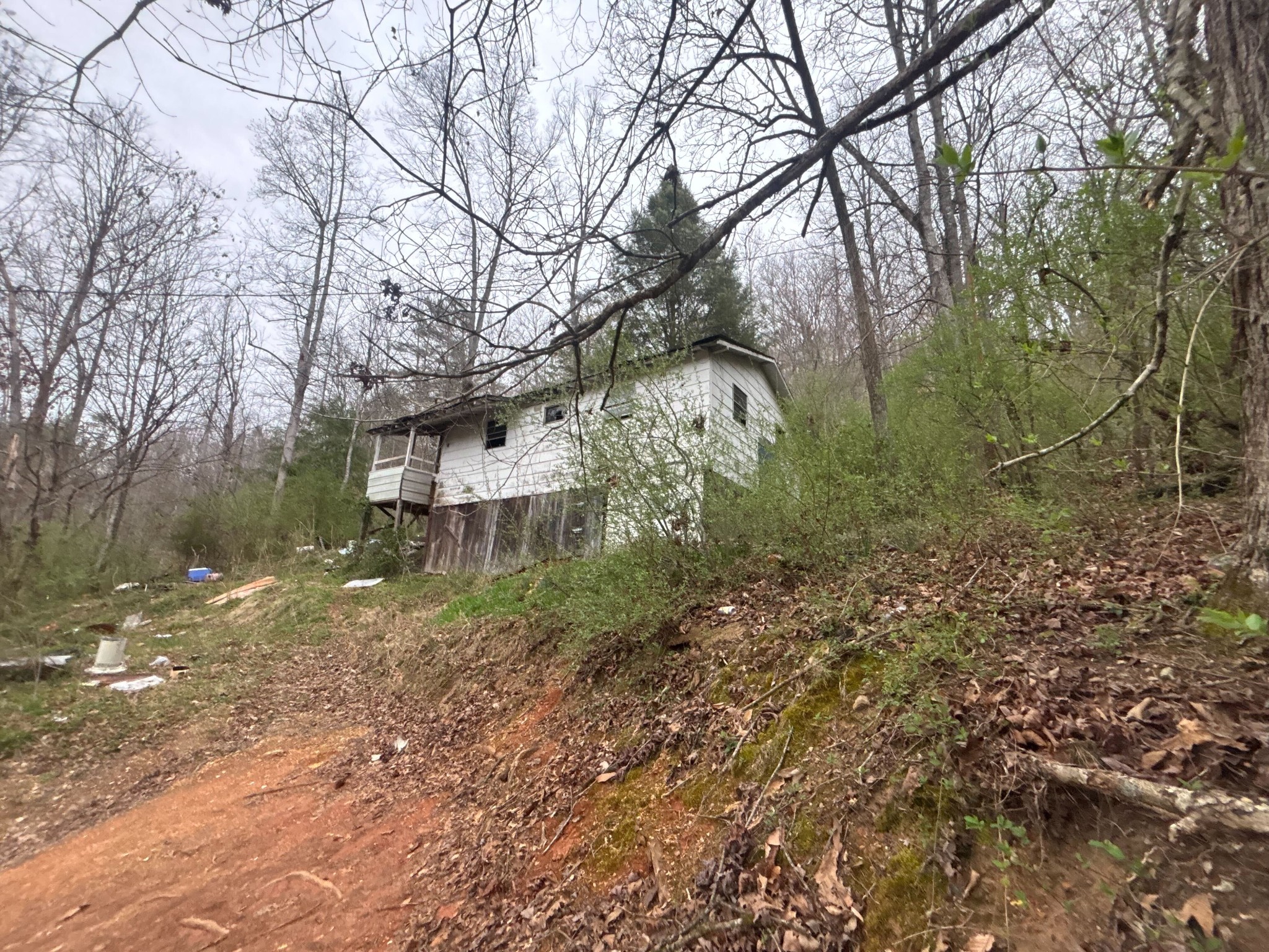 180 Sportsman Loop Speedwell, TN 37870 - Photo 17 of 18