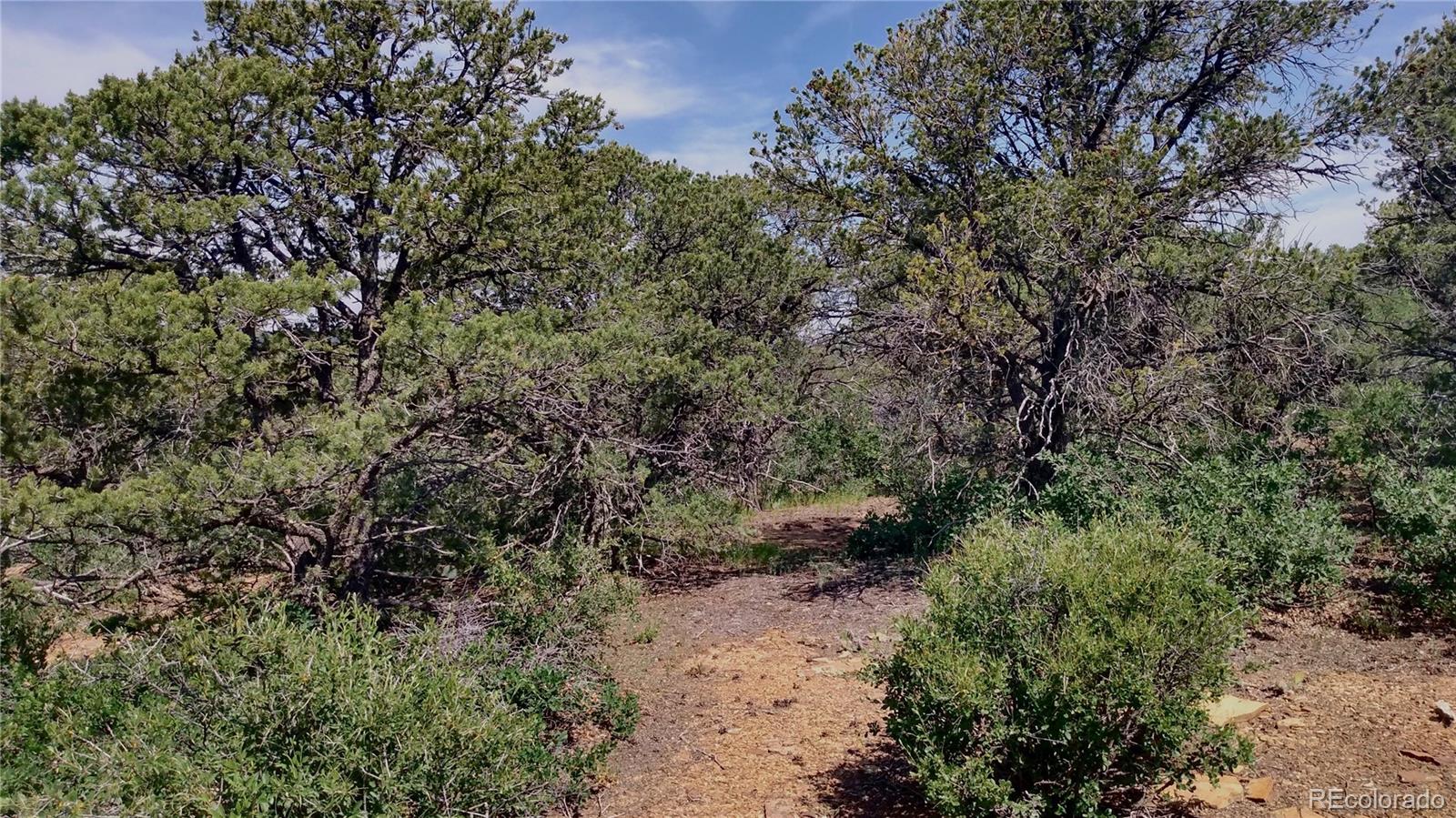 0 Morgan Road Trinidad, CO 81082 - Photo 16 of 27 Gallery Image 16