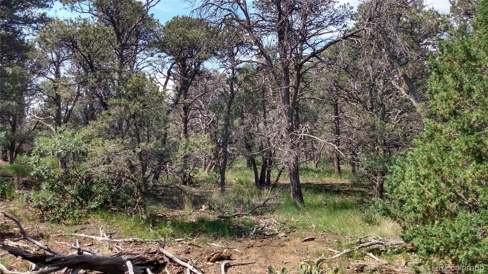 0 Morgan Road Trinidad, CO 81082 - Photo 3 of 27 Gallery Image 3