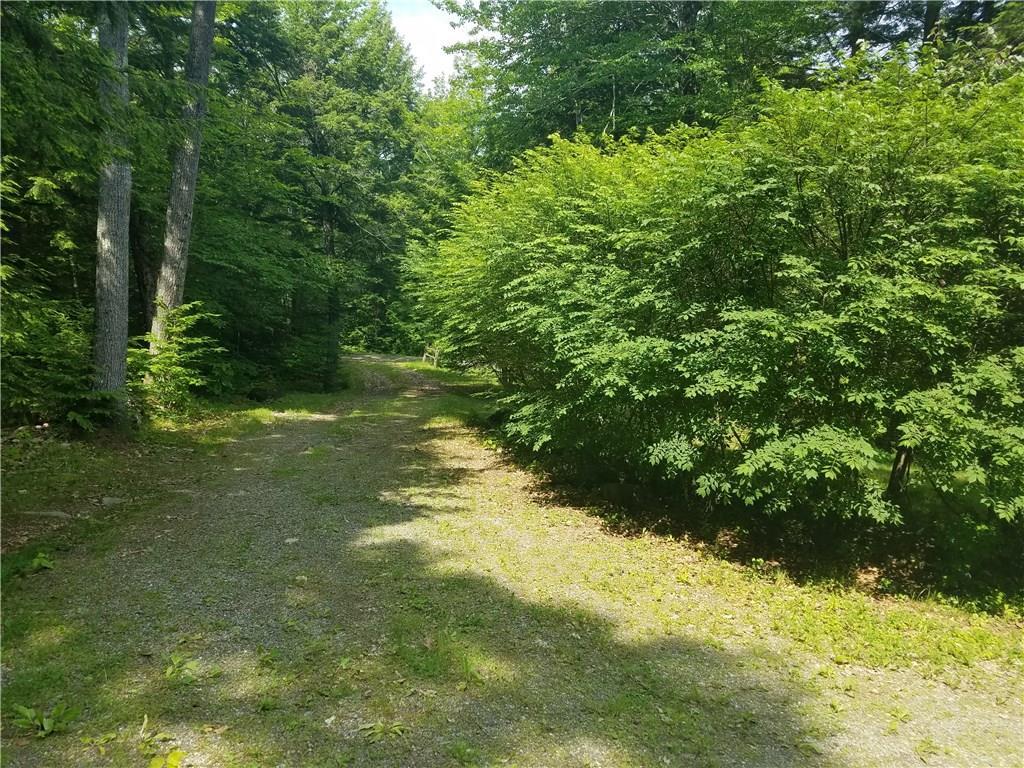 7 Pines Road Searsmont, ME 04973 - Photo 23 of 25 Looking back down the driveway, from...