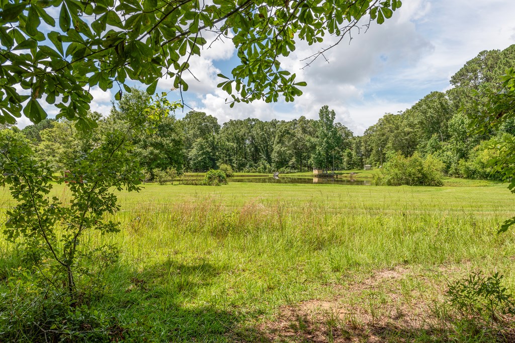 326 Oscar Godwin Road Dothan, AL 36301 - Photo 27 of 29