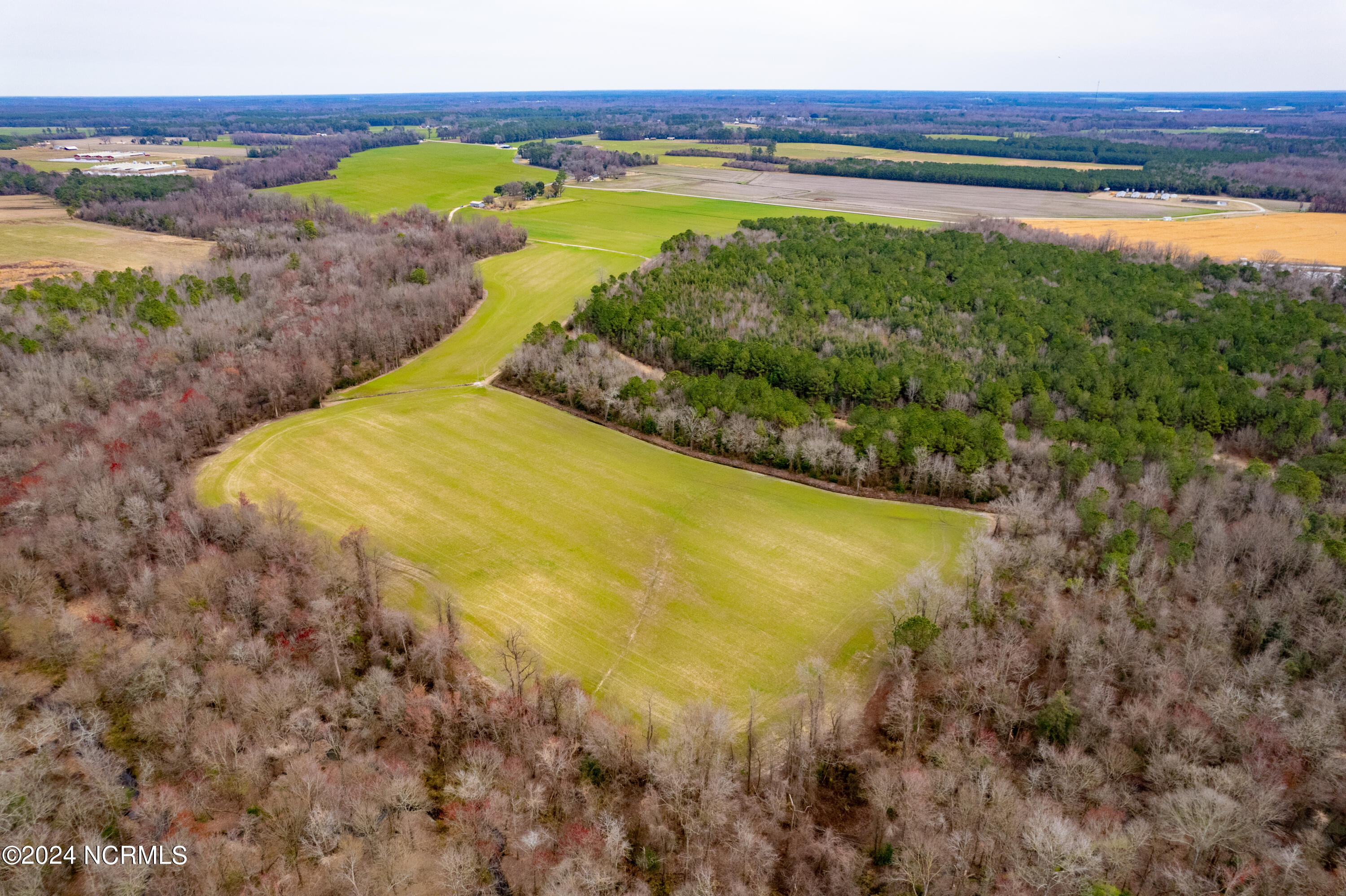 0 Kator Dunn Road Albertson, NC 28508 - Photo 2 of 7 DJI_0161
