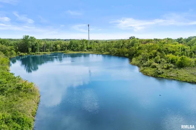a view of a lake with a city