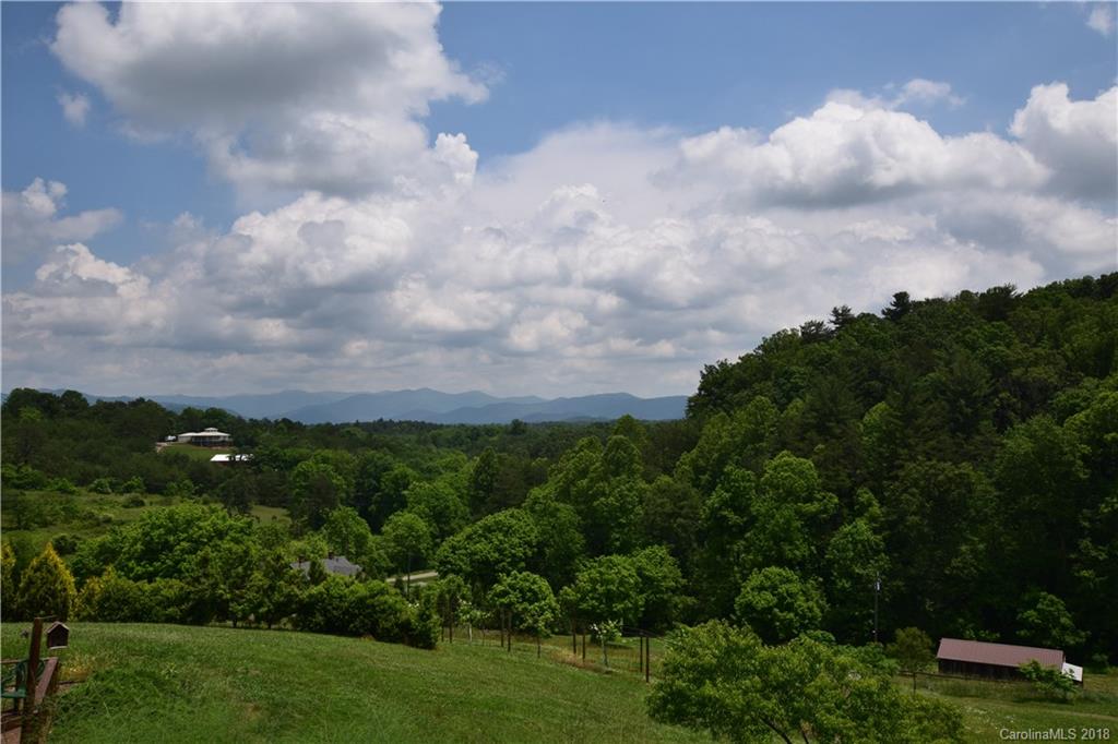 175 Jenkins Valley Road Alexander, NC 28701 - Photo 3 of 36 Gallery Image 3