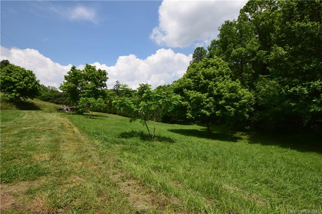 175 Jenkins Valley Road Alexander, NC 28701 - Photo 33 of 36 Gallery Image 33