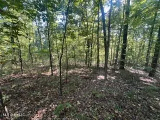 $6,000 | 11402 Sequoyah Drive, Hernando, MS 38632