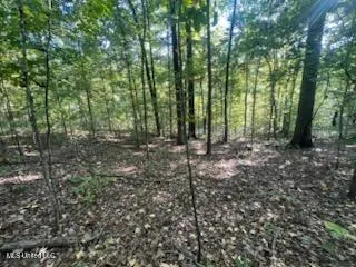 $6,000 | 11402 Sequoyah Drive, Hernando, MS 38632