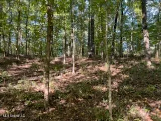 $6,000 | 11402 Sequoyah Drive, Hernando, MS 38632