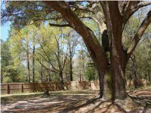 1897 Tobe Rutherford Road Bonifay, FL 32425 - Photo 11 of 21 Additional Photo