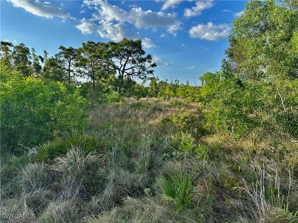 a view of a garden