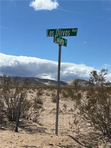 a picture of a field