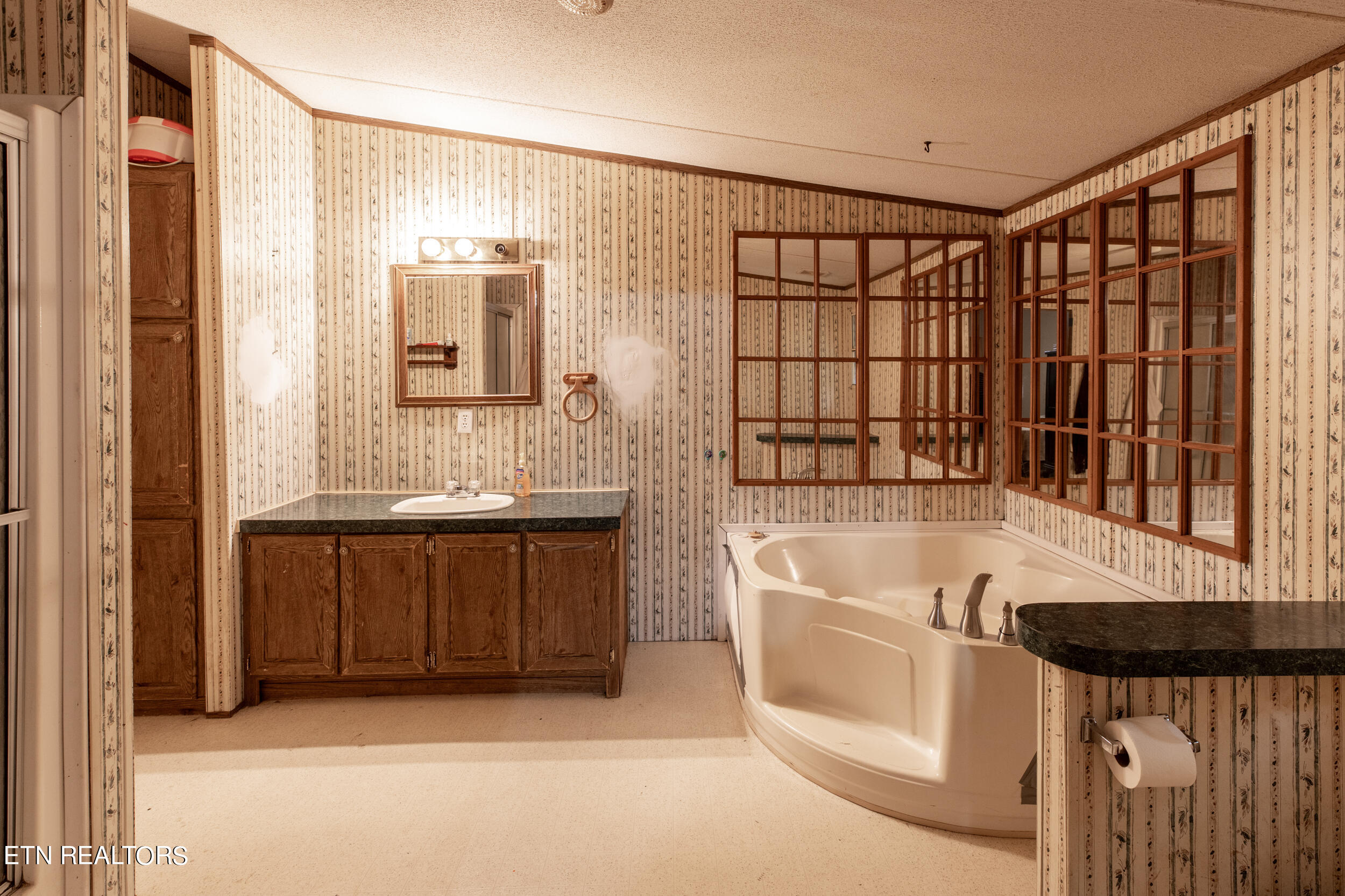 295 Boyer Road Andersonville, TN 37705 - Photo 8 of 29 Primary Bathroom