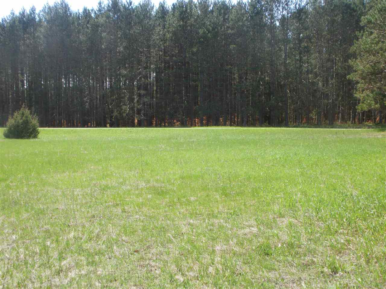 11574 North State Road Cadillac, MI 49601 - Photo 15 of 16 1831709-14.JPG