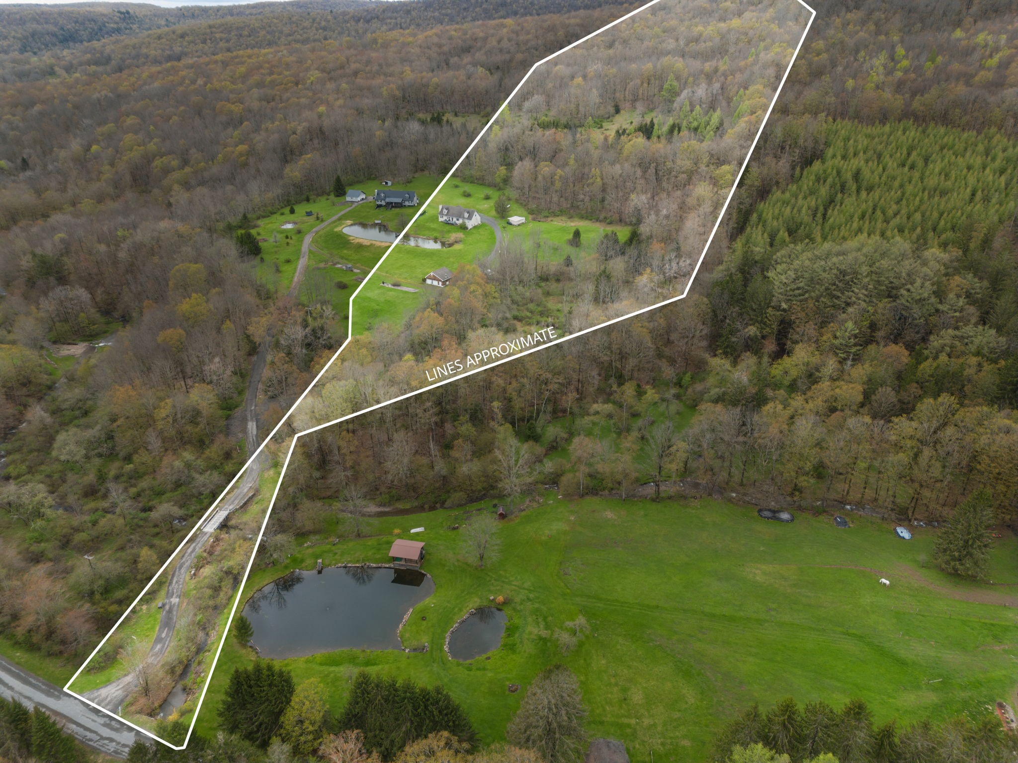 1035 Schofield Road Deposit, NY 13754 - Photo 46 of 49