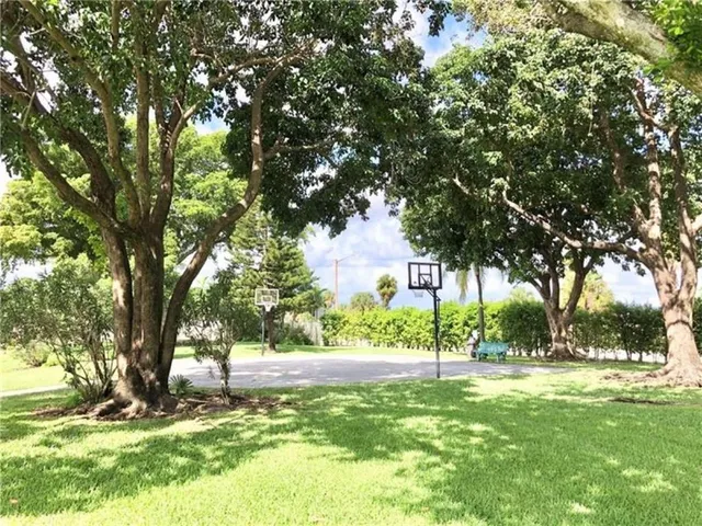 a view of backyard with tree