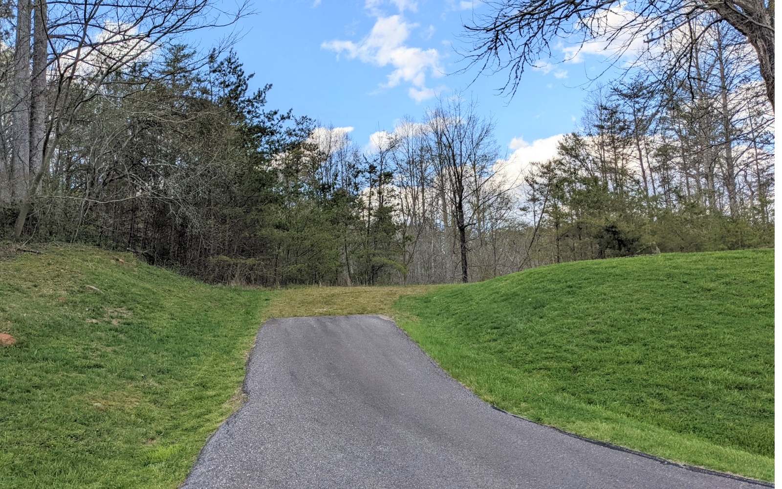 Lot 2 Huntington Ridge Road Blairsville, GA 30512 - Photo 2 of 29 Additional View
