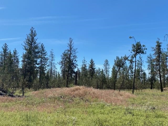 5742 J Corkscrew Canyon Road Tumtum, WA 99034 - Photo 6 of 11
