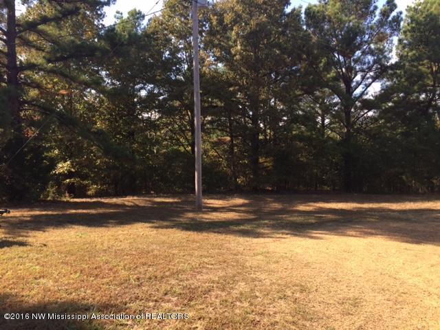 1055 Wheeler Road Hernando, MS 38632 - Photo 7 of 12 IMG_4520
