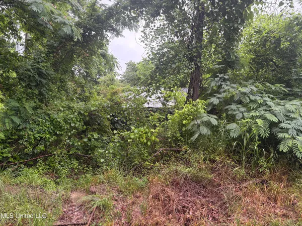 $9,500 | 722 Lower Woodville Road, Natchez, MS 39120