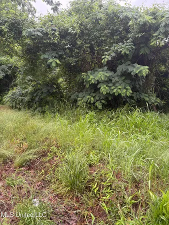 $9,500 | 722 Lower Woodville Road, Natchez, MS 39120