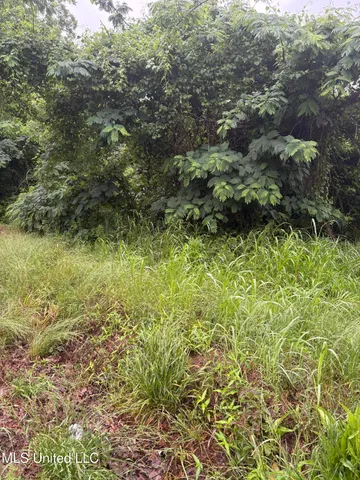 $14,000 | 722 Lower Woodville Road, Natchez, MS 39120