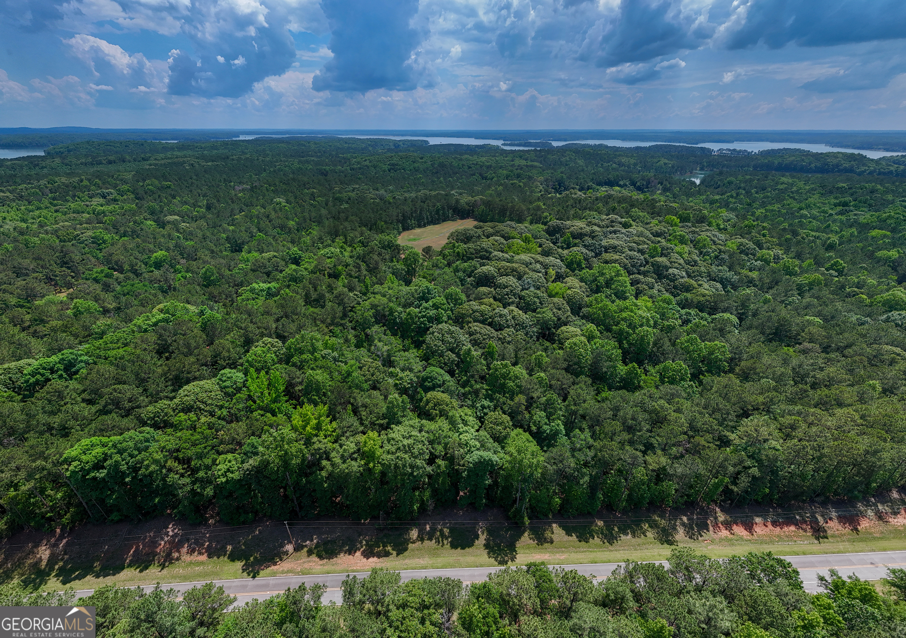 0 Ferrell Tatum Road LaGrange, GA 30240 - Photo 2 of 7 a view of a garden with a lake