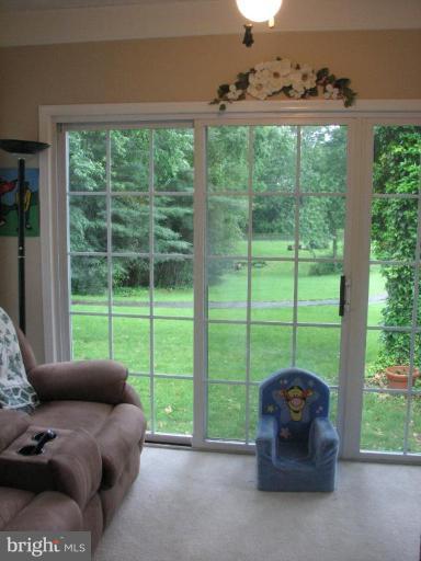 17169 Raccoon Ford Road Culpeper, VA 22701 - Photo 3 of 13 Sunroom
