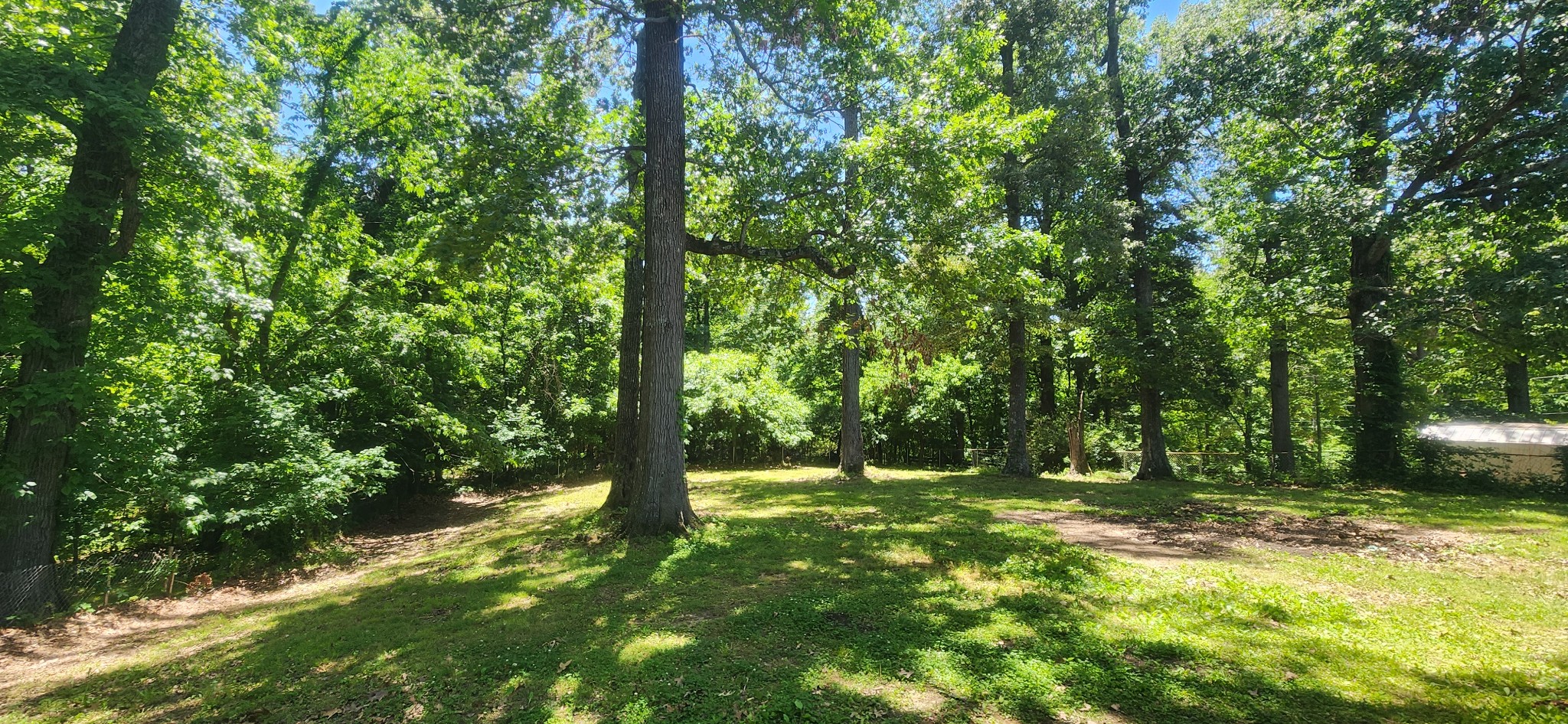 1276 Gip Manning Road Clarksville, TN 37042 - Photo 15 of 15 a view of outdoor space with trees