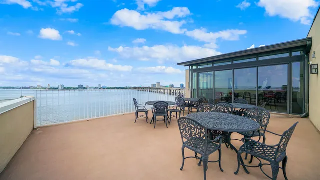 a room with furniture and a potted plant