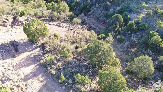 515 South Oakridge Road Pine Valley, UT 84781 - Photo 12 of 23 Aerial view of property's location