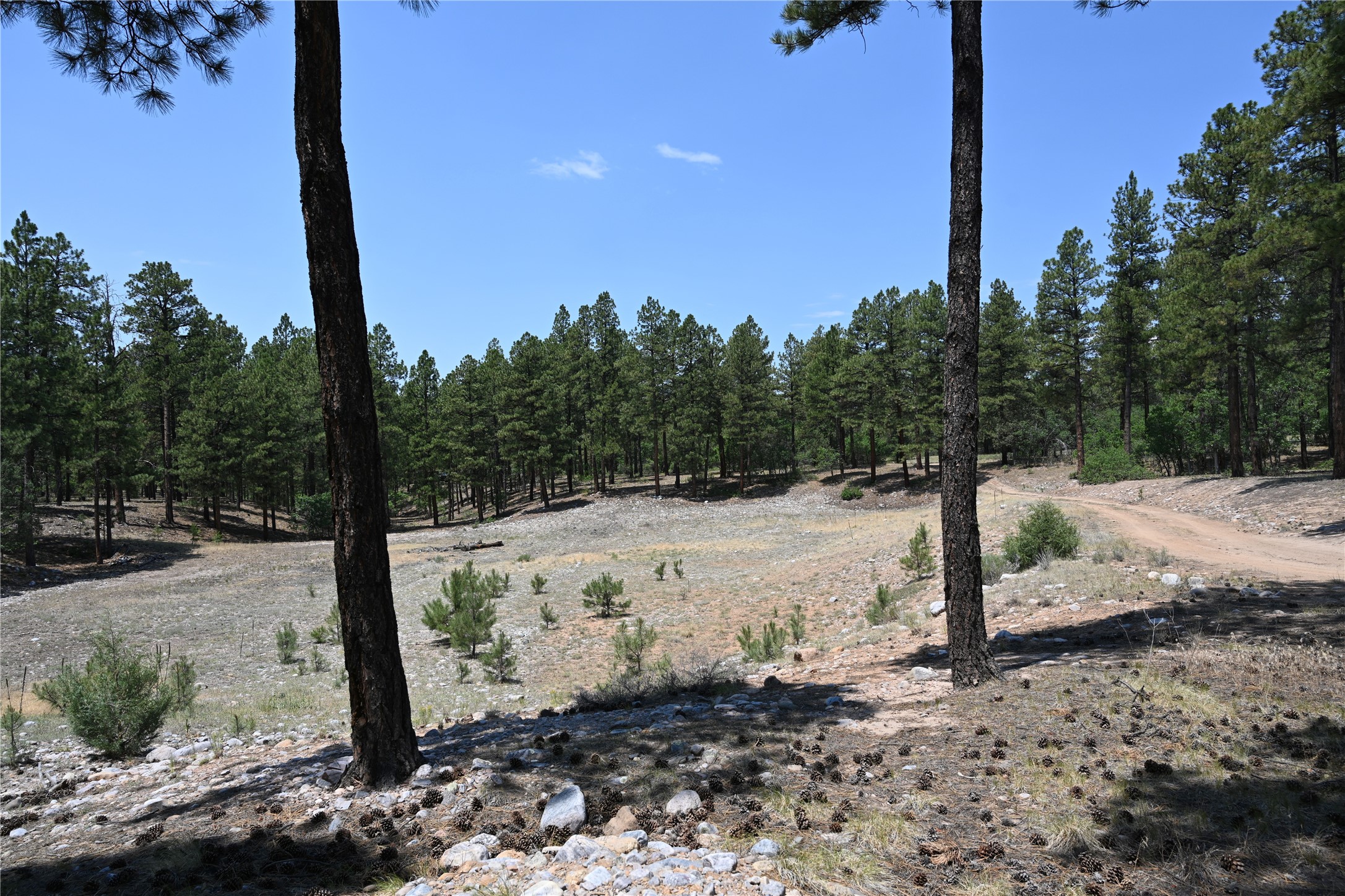 0 The Forks Road Chama, NM 87520 - Photo 19 of 25 Gallery Image 19