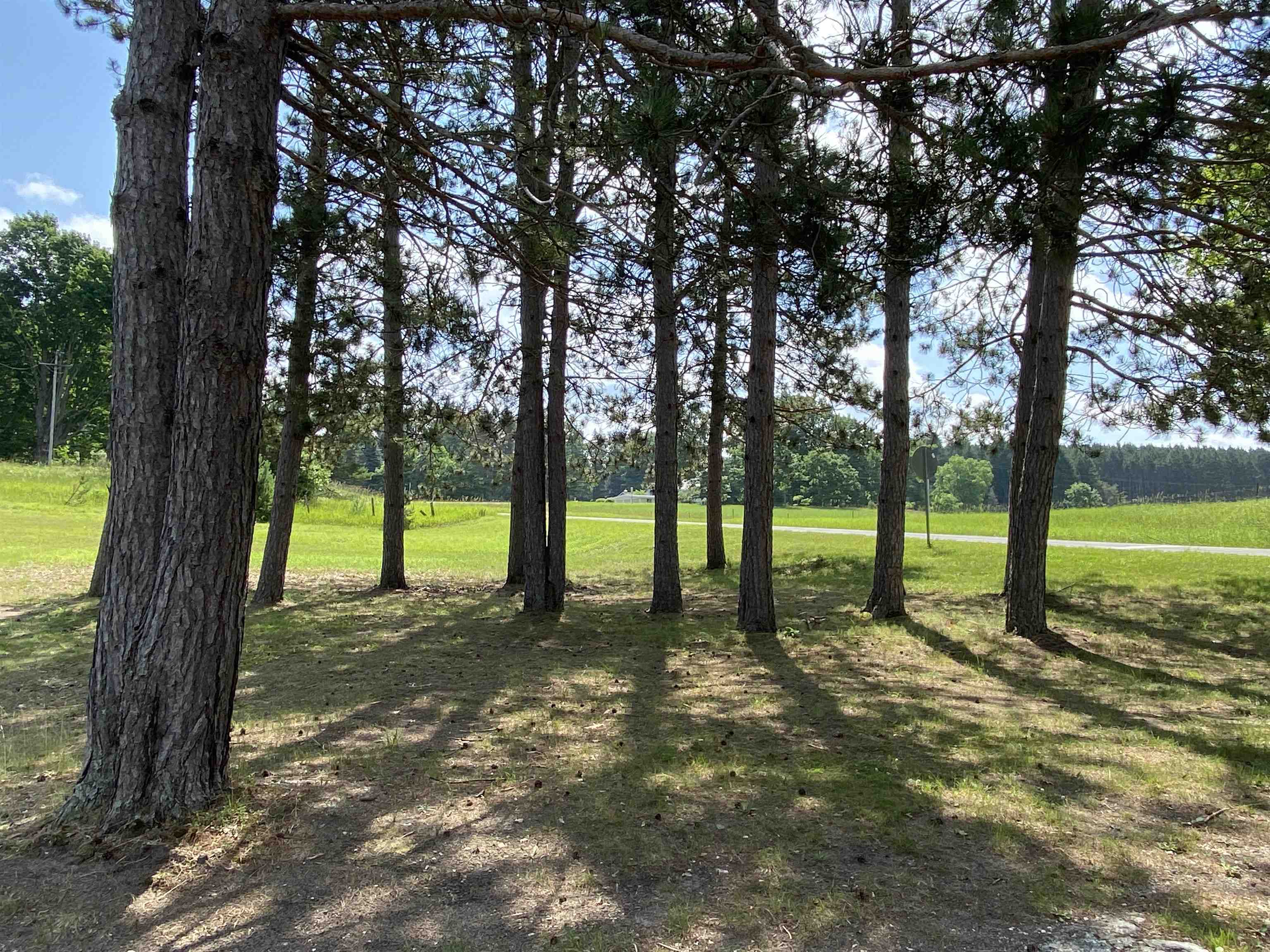 7929 East 10 Road Manton, MI 49663 - Photo 42 of 46 1936433-932ec46c-f2b7-4a9c-82ca-dc930e583bdf.JPG
