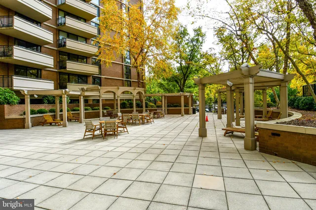 a outdoor space with trees