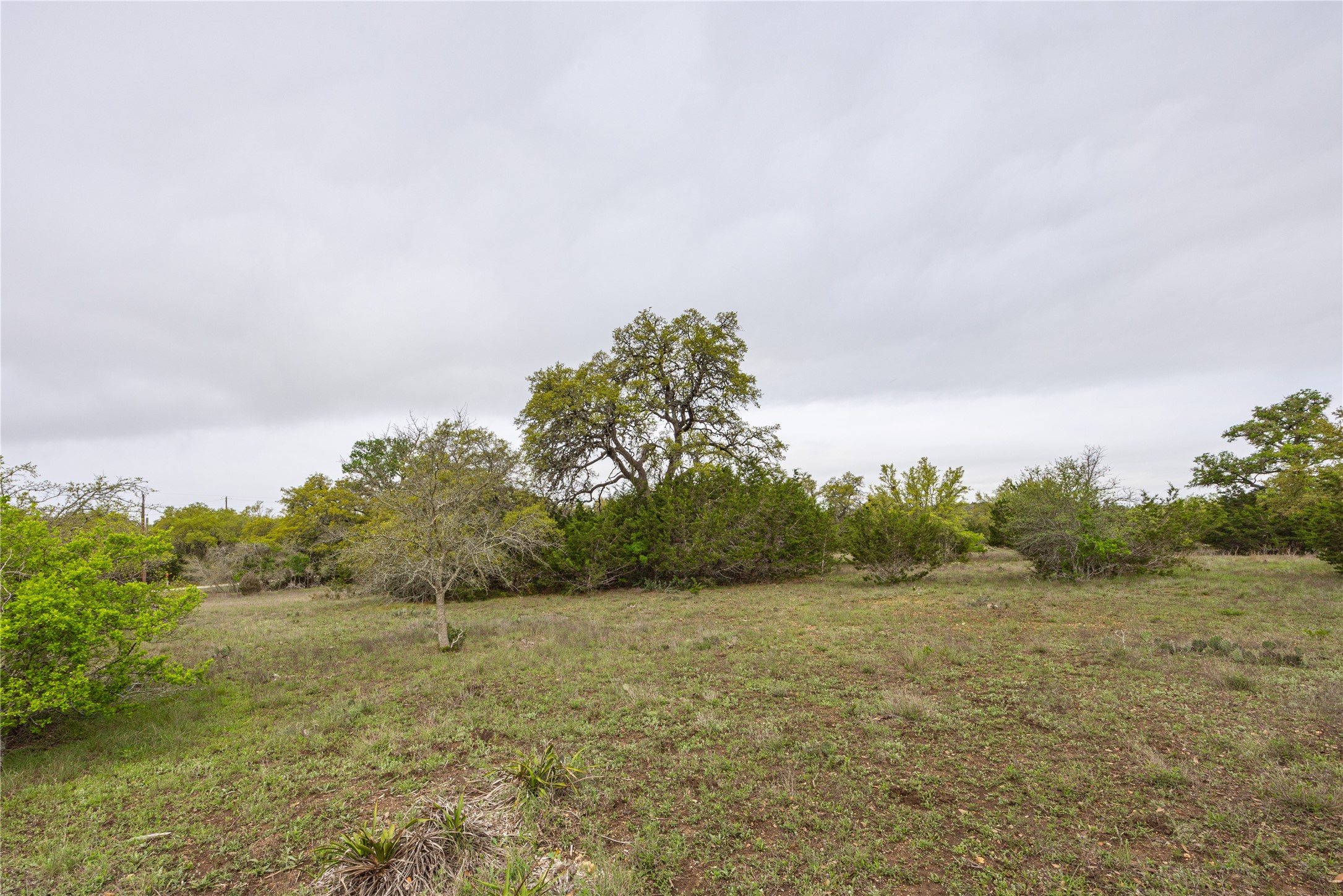 Tbd Tbd Logan's Way Blanco, TX 78606 - Photo 13 of 25 View of yard