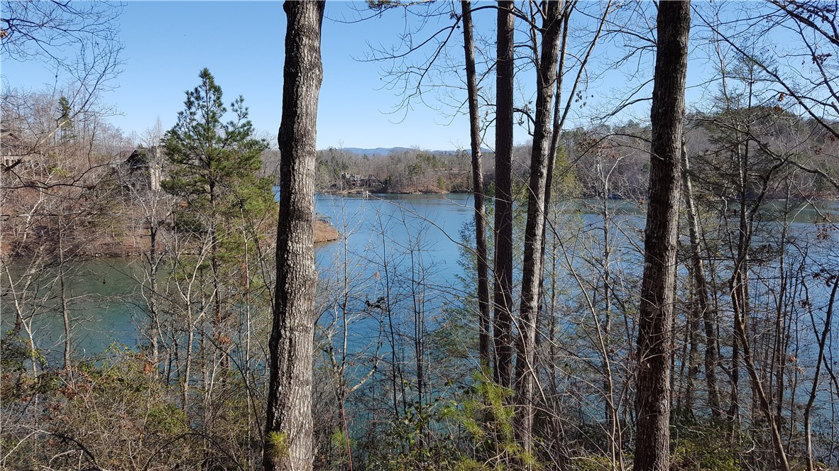 917 Rippling Water Way Salem, SC 29676 - Photo 5 of 13