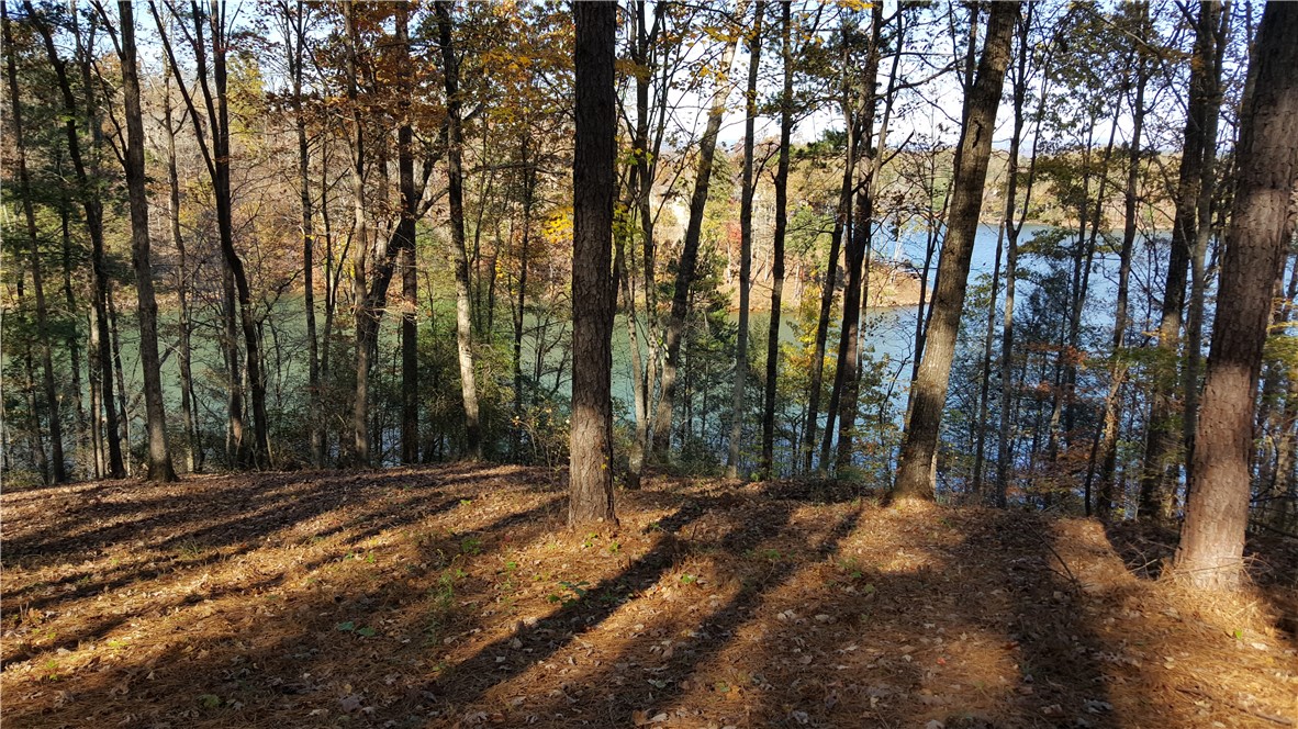 917 Rippling Water Way Salem, SC 29676 - Photo 7 of 13 View from Street